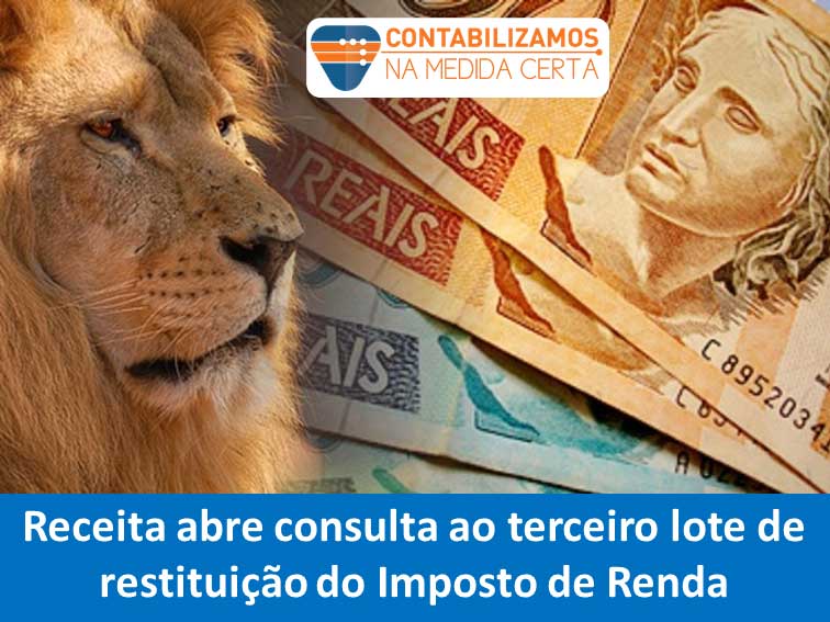 Consulta Ao Terceiro Lote